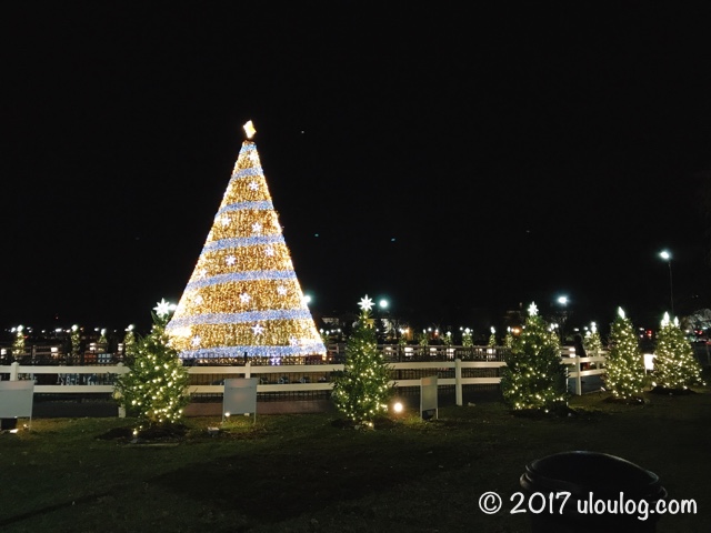 ワシントンd C クリスマスの見どころ ナショナルクリスマスツリー アメリカ移住 ミシガンうろうろブログ