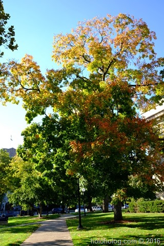 DSCF0336