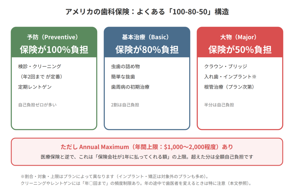 アメリカの歯科保険の100-80-50構造。予防（検診・クリーニング）は保険が100%、詰め物など基本治療は80%、クラウンなど大物は50%負担。ただし年間上限（Annual Maximum）1,000〜2,000ドル程度あり