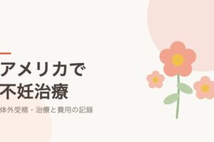 アメリカで不妊治療：体外受精・治療と費用の記録シリーズ