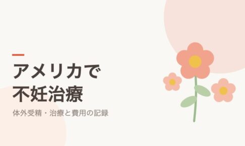 アメリカで不妊治療：体外受精・治療と費用の記録シリーズ